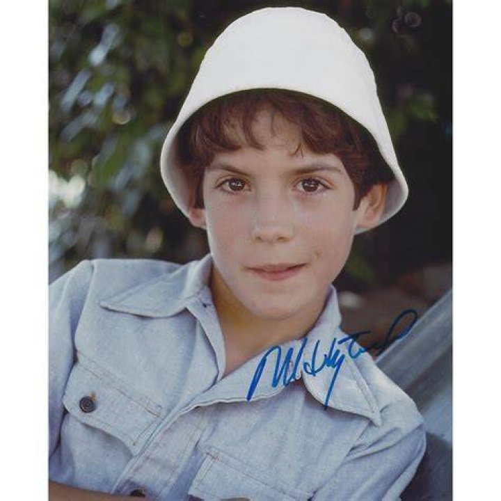 Matthew Labyorteaux: Child Star To Acclaimed Actor