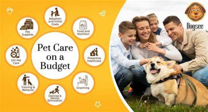 Meet Petra Exton: The Leading Expert In Pet Care