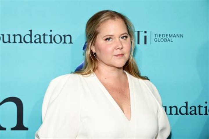 Meet The Parents: Uncovering The Lineage Of Amy Schumer
