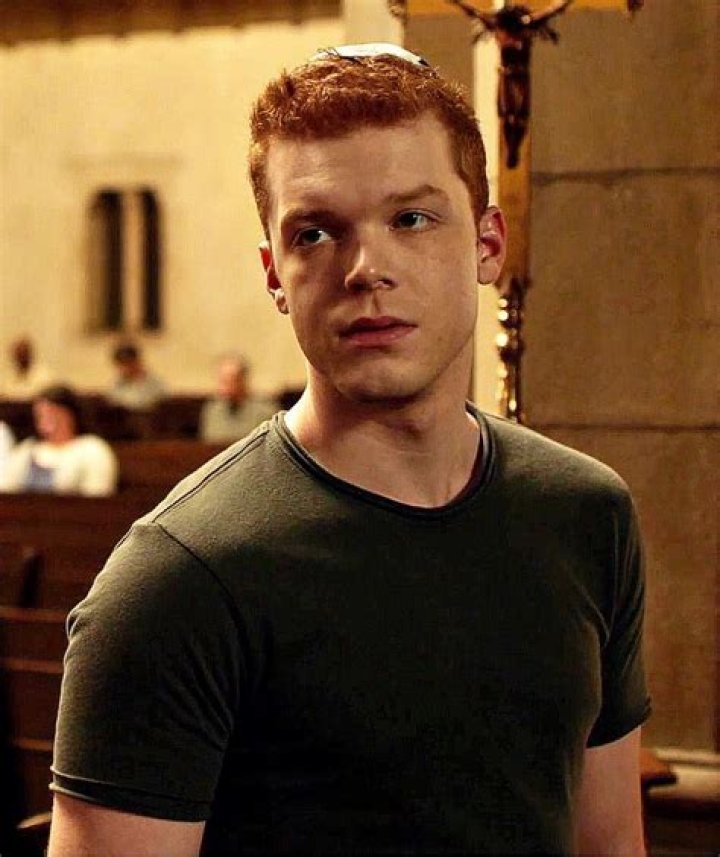 Meet The Talented Actor Behind Ian Gallagher: An Iconic Character