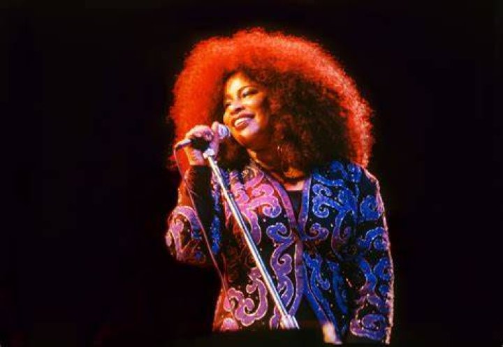 Meet The Talented Offspring Of The Queen Of Funk