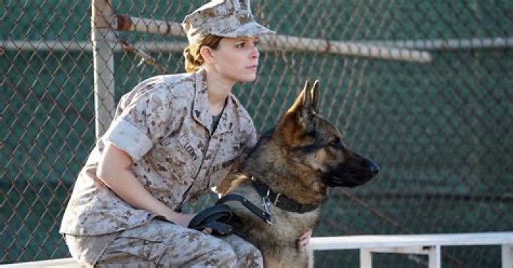 Megan Leavey, The Marine And Her War Dog