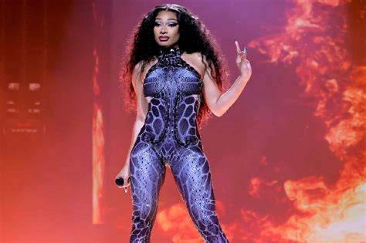 Megan Thee Stallion's Net Worth: A Look At Her Rise To Fame And Fortune