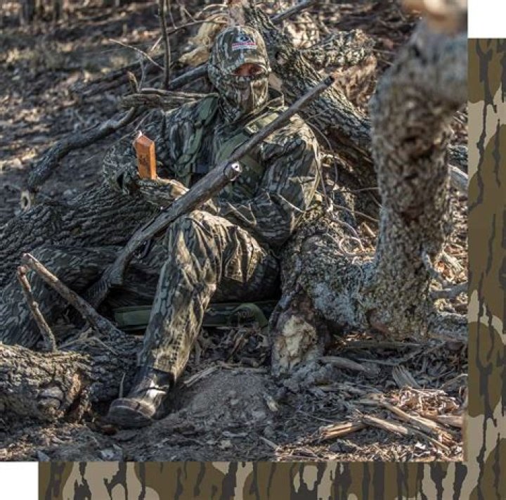 Mesmerizing Prey Eyes: Unraveling The Secrets Of Nature's Camouflage