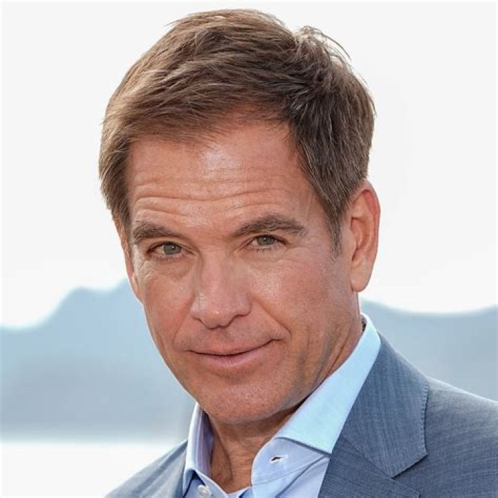Michael Weatherly: Towering Over The Competition With An Impressive Stature