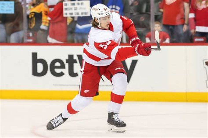 Moritz Seider - NHL Defense