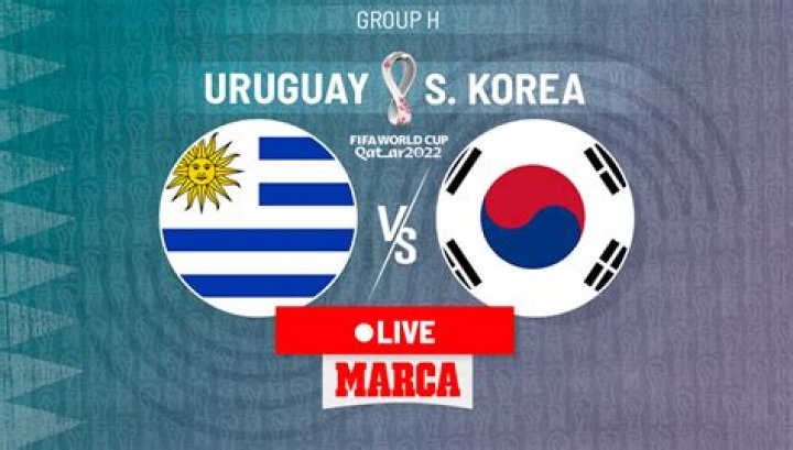 Norway VS South Korea live stream 30 July 2024