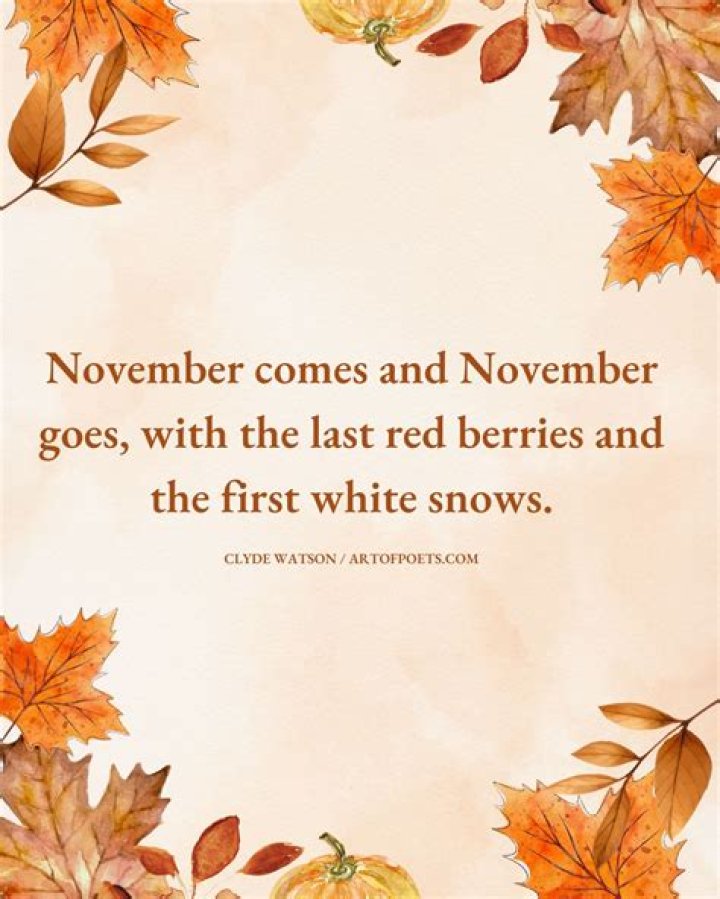 November Quotes Short ·
