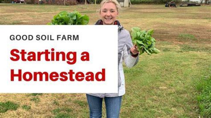 Oklahoma Homestead Protection: Your Shelter From Debt