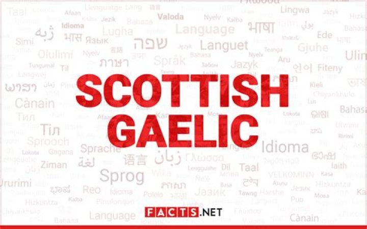 Outlander's Scottish and Gaelic terms explained for fans across the globe