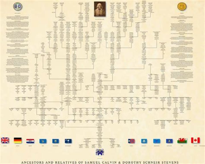 Phoebe Serafinowicz Family Tree & History, Ancestry & Genealogy