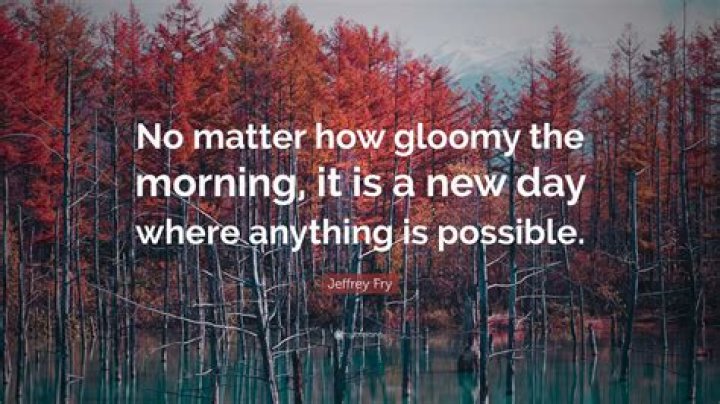 Quotes To Illuminate Gloomy Days
