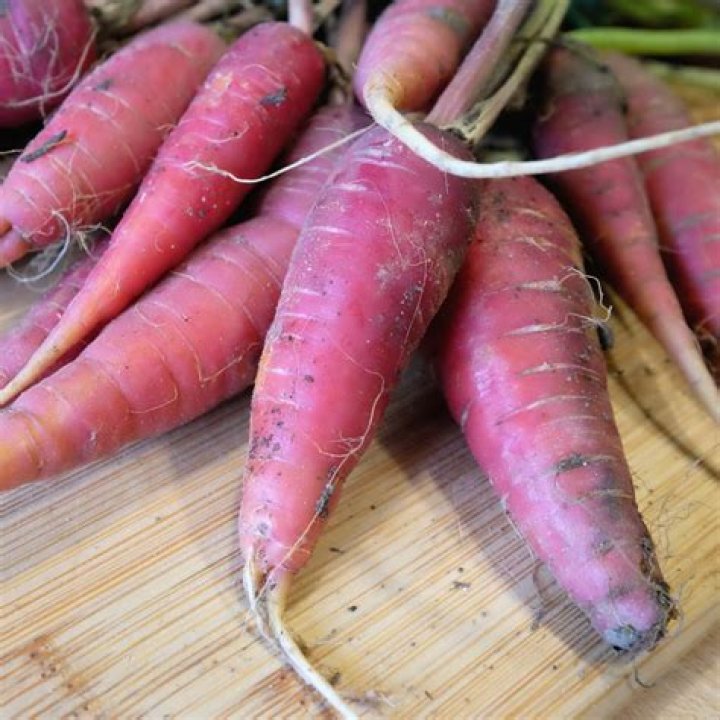Red root veggie | RiffVib