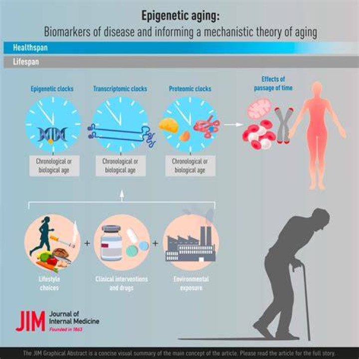 Revealing JLR's Exploration Of The Aging Process
