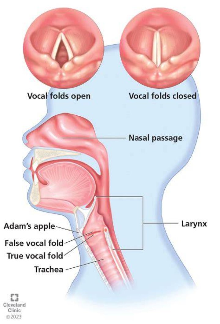 RFK Jr.'s Hoarse Voice: A Deeper Look