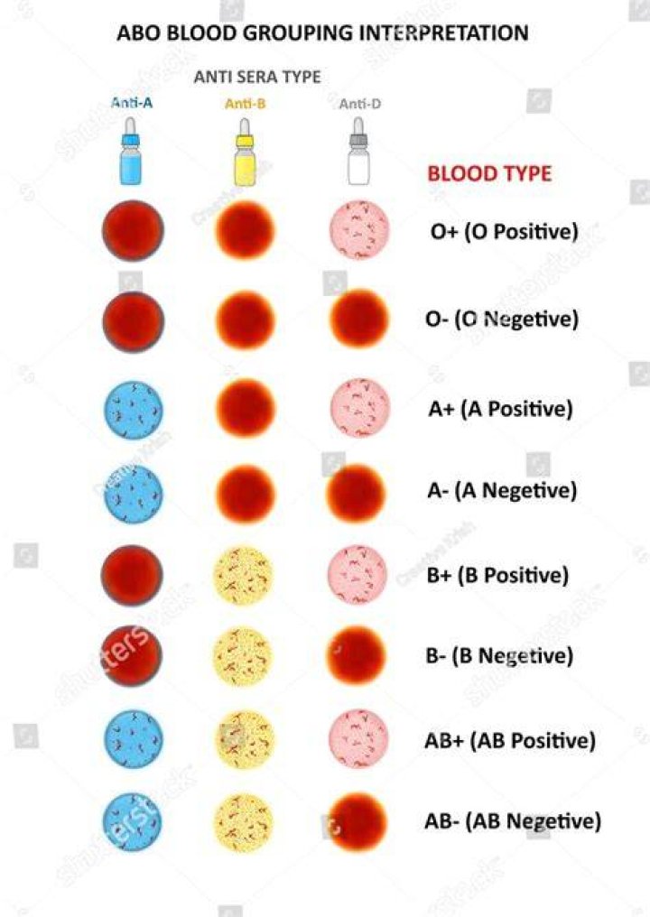 Sabrina Carpenter's Blood Type: Is It O-Positive Or Something Else?