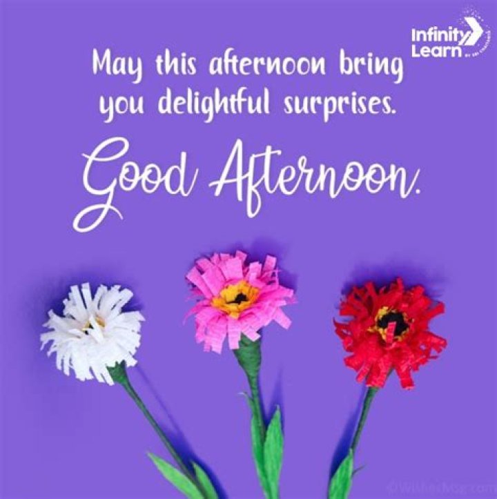 Share The Perfect Good Afternoon Message To Brighten Your Friend's Day