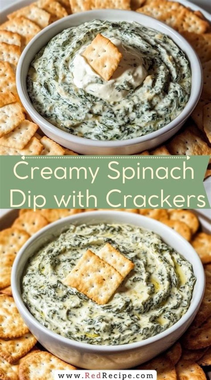 Spinach Dip Delights With Crackers