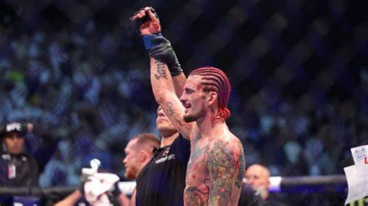 Suga Sean O'Malley's Fight Against Petr Yan: An Epic Clash