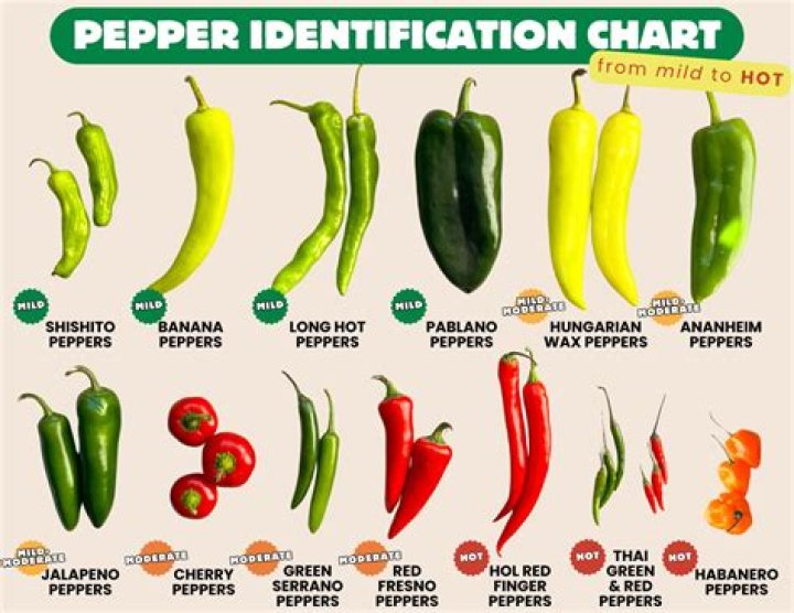 Surprising Facts About Red Hot Chili Peppers Lead Singer's Wife's Age