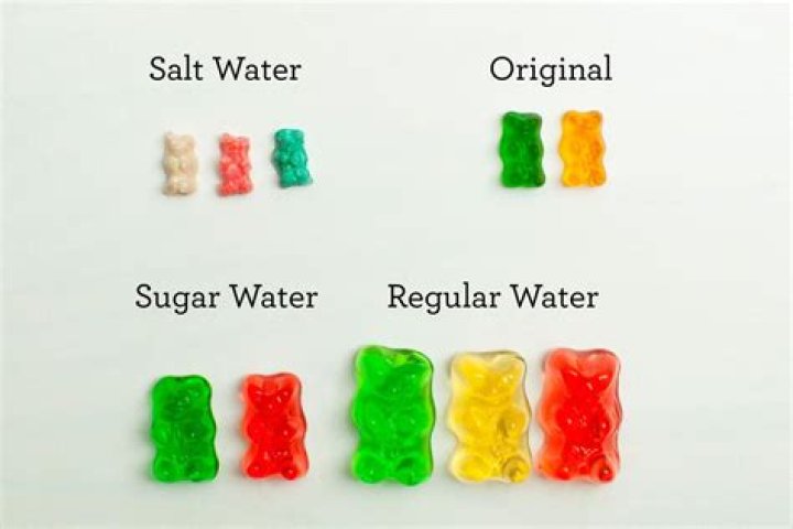 Surprising Things That Happen When You Dip Gummy Bears In Salt