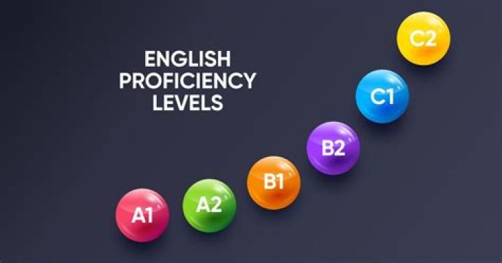 The Comprehensive Guide To Ansel Elgort's Language Proficiency