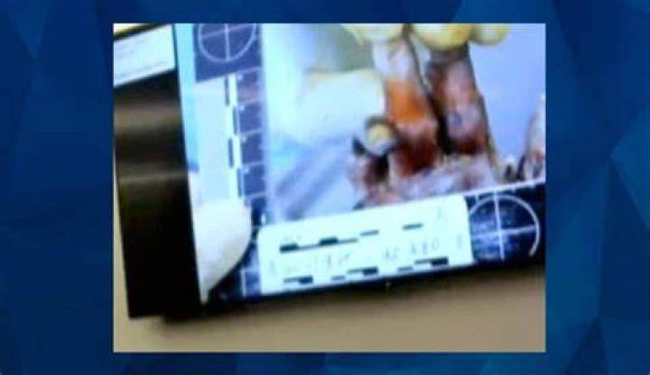 The Disturbing Case Of Gannon Stauch Autopsy Photos Being Leaked