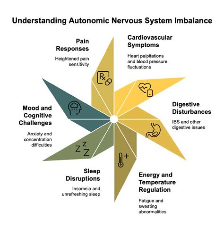 The Essential Guide To Autonomic Nervous System Disorders