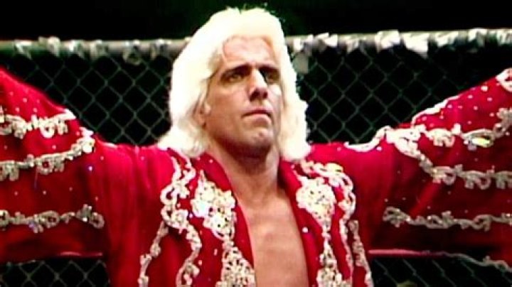 The Legendary "Nature Boy" Ric Flair Dominates WWE