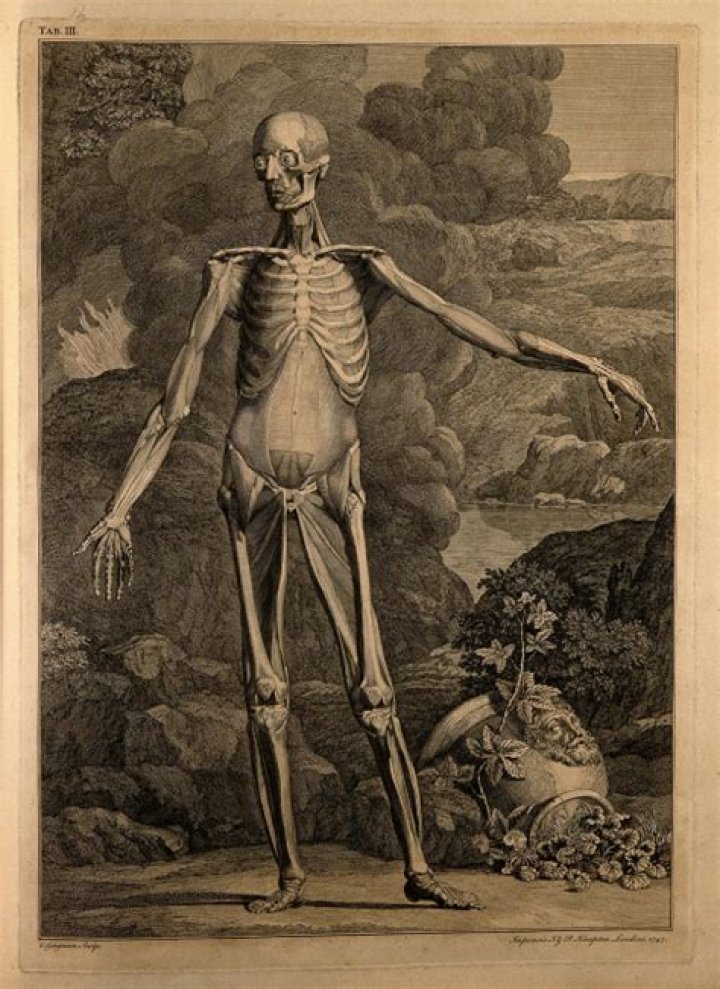 The Mysterious Death Of Tarrare, The Human Stomach