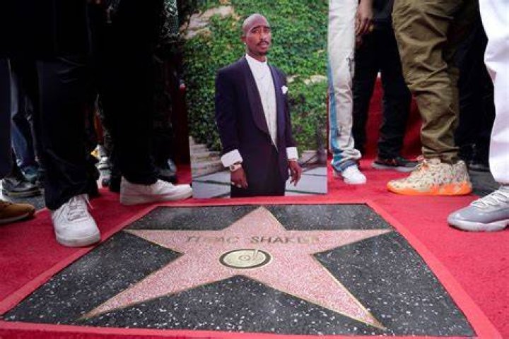 The Newest Star In Hollywood