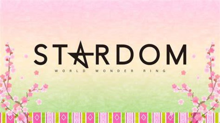 The Pop Icon's Journey To Stardom