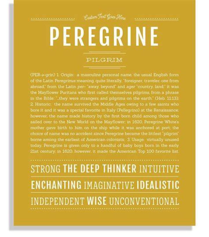 The Profound Meaning Behind The Name "Peregrine": Unveiling Courage And Adventure