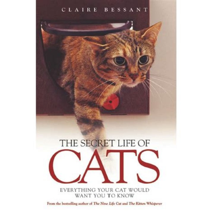The Secret Life Of Steve Burns: Meet His Mysterious Wife Today