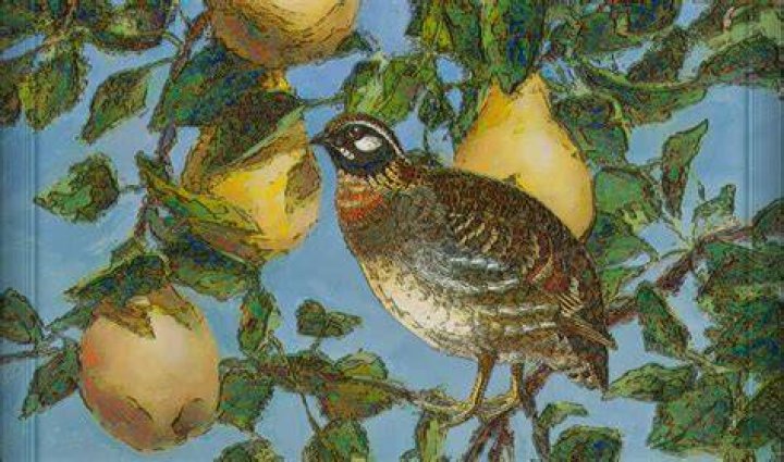 The Significance And Meaning Behind The Partridge In A Pear Tree