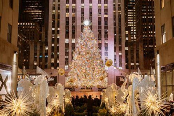 The Sky-High Rockefeller Center Christmas Tree: Towering Dimensions