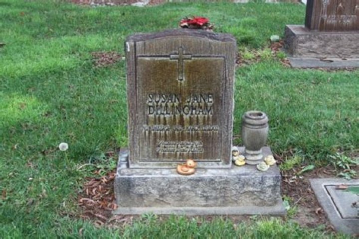 The Tragic End: Samantha Lewes' Cause Of Death And Legacy