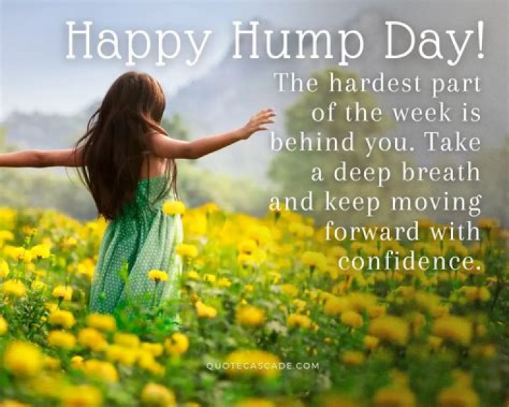 The Ultimate Collection Of Inspirational Hump Day Quotes And Sayings