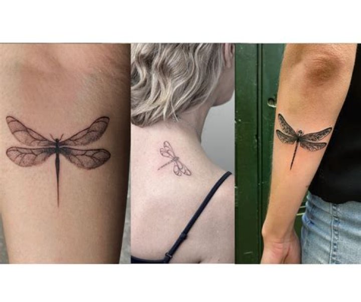 The Ultimate Guide: Meaningful Dragonfly Tattoo Designs