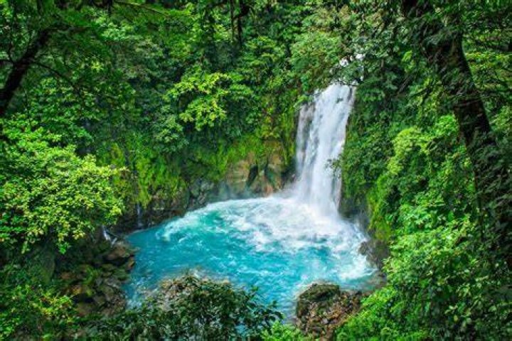 The Ultimate Guide To Costa Rica's Most Famous Faces