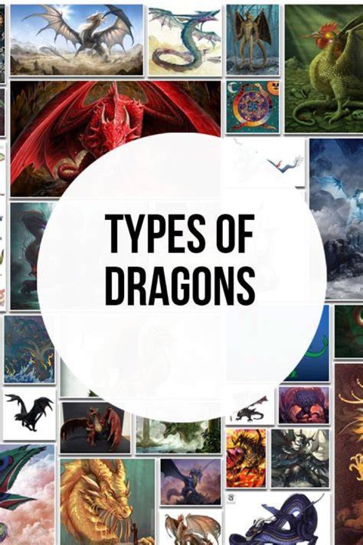 The Ultimate Guide To Different Types Of Dragons