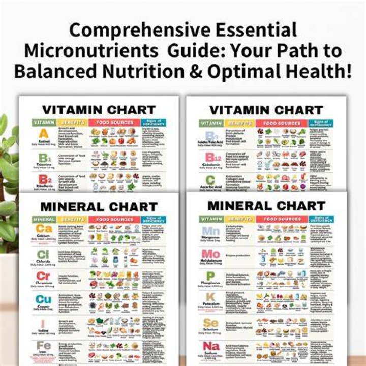 The Ultimate Guide To Essential Mineral Facts