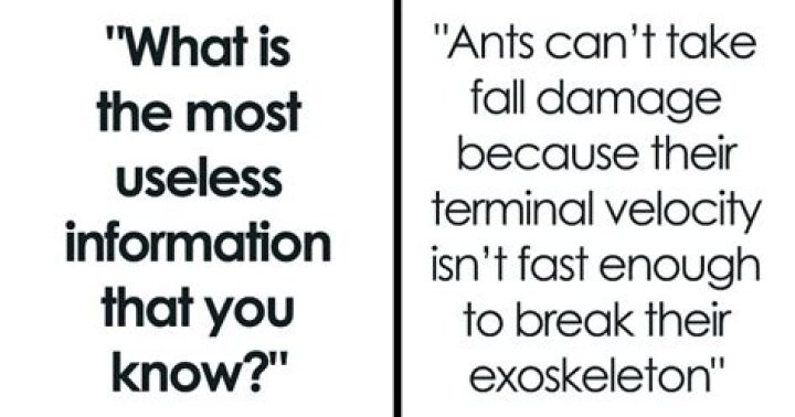 The Ultimate Guide To Hilarious And Useless Facts