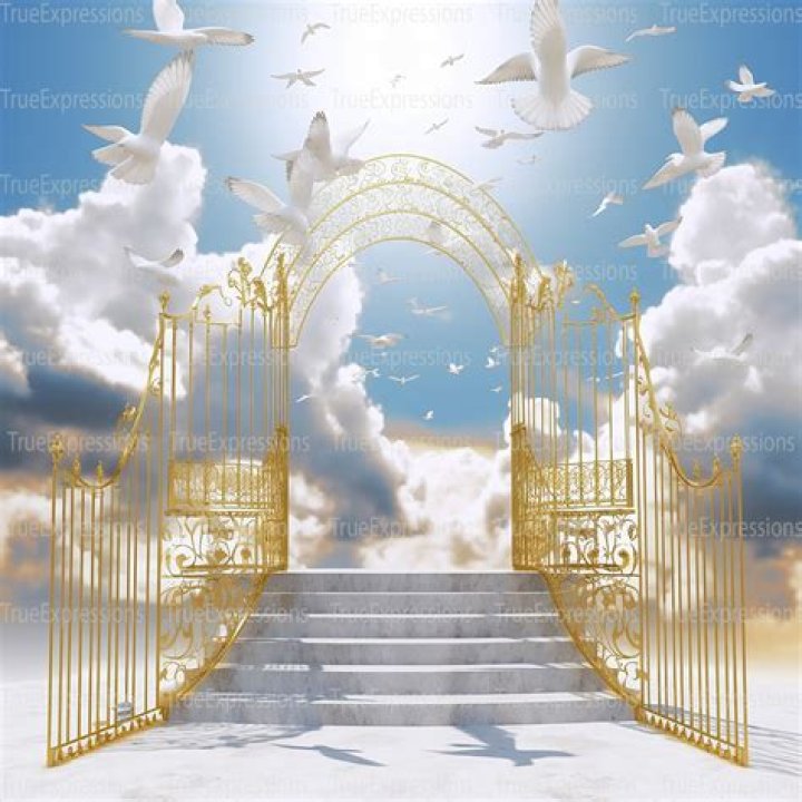 The Ultimate Guide To Image Heaven NL: Discover The Best Dutch Image Hosting