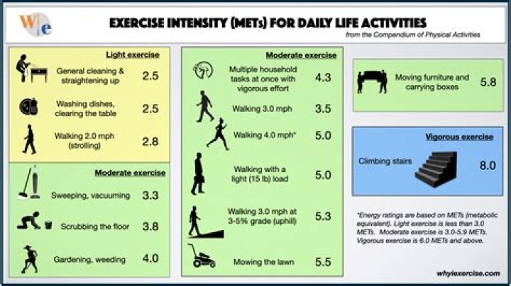The Ultimate Guide To Noah Mets: A Comprehensive Analysis