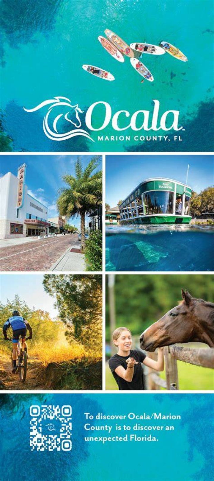 The Ultimate Guide To Ocala Skipthegames: Everything You Need To Know