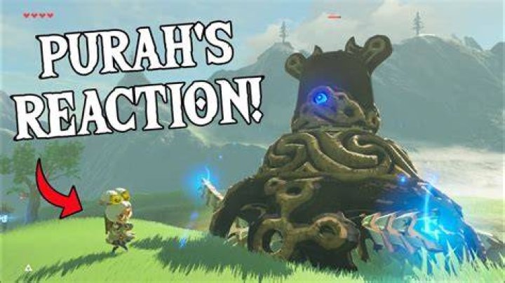 The Ultimate Guide To Purah In Breath Of The Wild