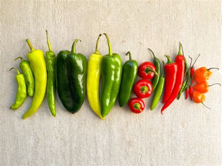 The Ultimate Guide To Red Hot Chili Pepper Dating: Tips And Tricks For Success