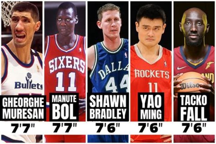 The Ultimate Guide To The Tallest Players Dominating The NBA