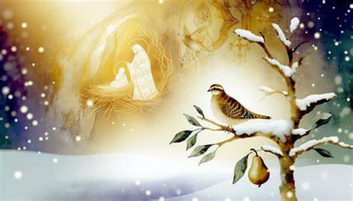 The Ultimate Guide To Unlocking The Meaning Of A Partridge In A Pear Tree